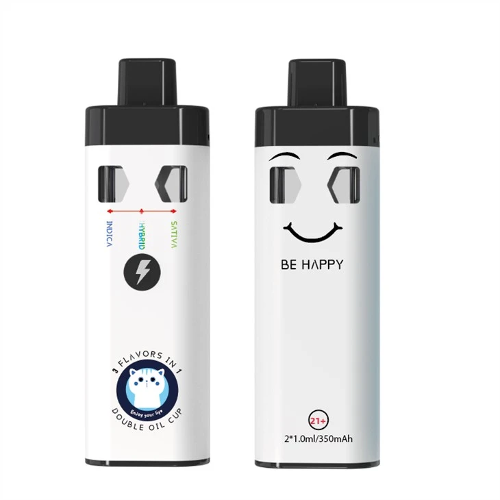 Pinna Vaping Disposable B